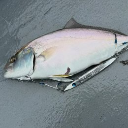 利用されたお客様イメージ