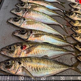 利用されたお客様イメージ