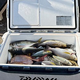 利用されたお客様イメージ