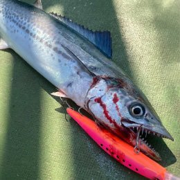 利用されたお客様イメージ